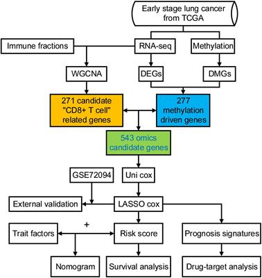 A Novel Prognostic Model of Early-Stage Lung Adenocarcinoma Integrating Methylation and Immune Biomarkers